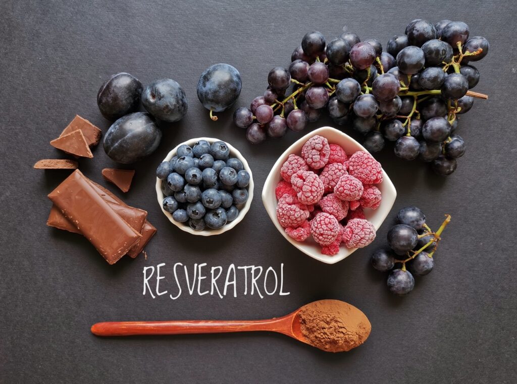 Foods Rich In Resveratrol. Resveratrol Is A Powerful Antioxidant. Grape, Plum, Blueberry, Raspberry, Dark Chocolate, And Cocoa Powder As Natural Sources Of Resveratrol And Antioxidants. Healthy Diet.